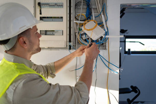 Best Electric Panel Repair  in Woodland Park, NE